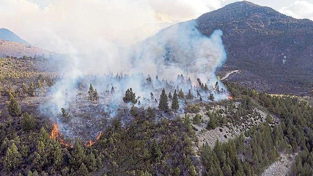 El incendio forestal comenzó pasado el mediodía del domingo en Cuesta del Ternero.