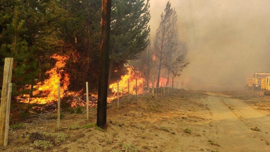 Las llamas destruyen la flora y la fauna del lugar.