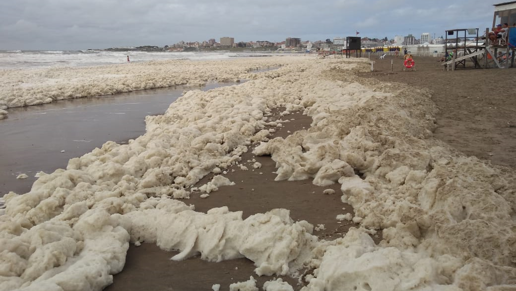 La explicación científica de la espuma que se formó en las costas de Mar del Plata.