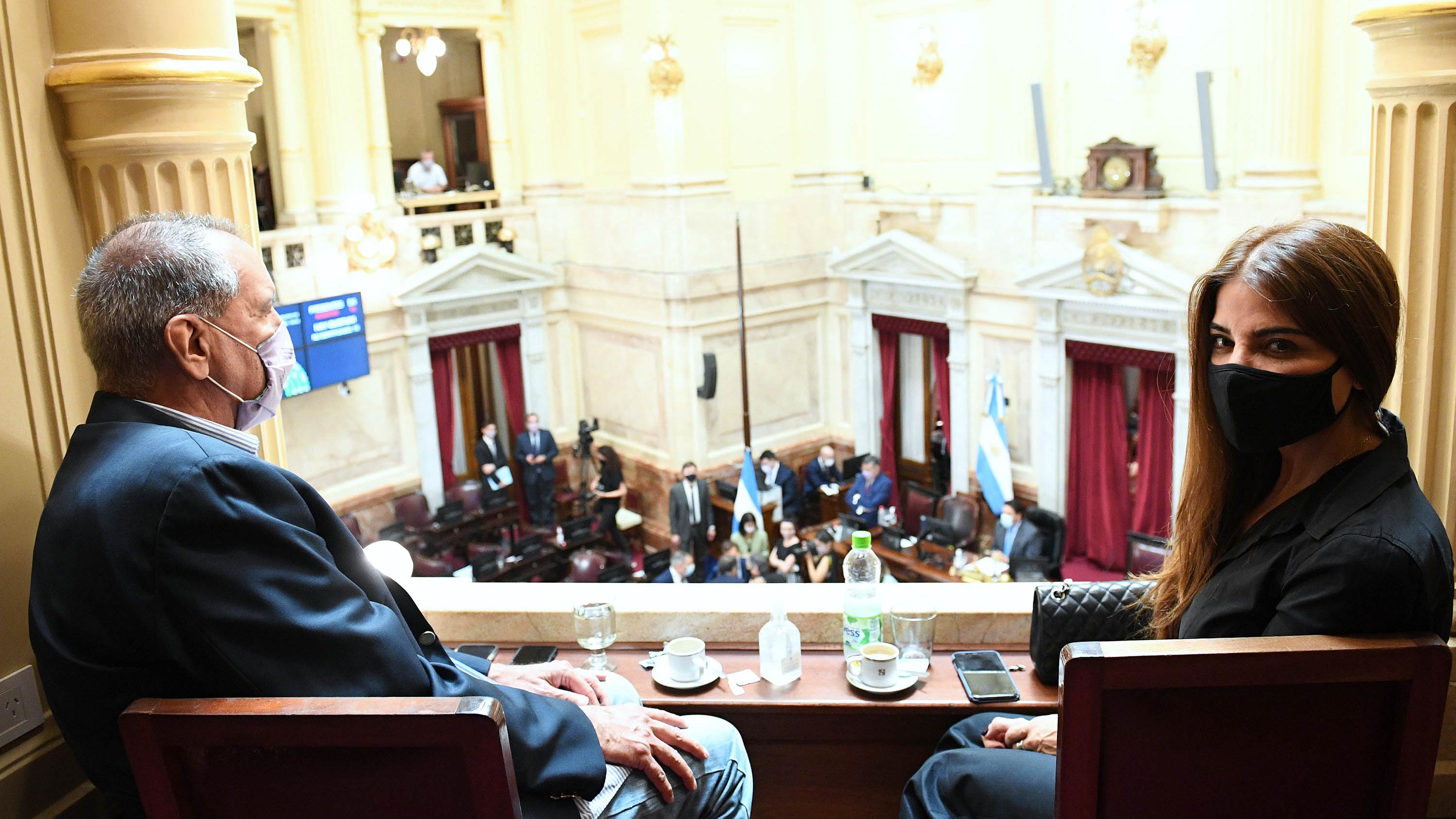 Zulema Menem presenció desde el palco en el Senado el homenaje a su padre fallecido Carlos Menem  (Foto: Senado de la Nación Argentina)