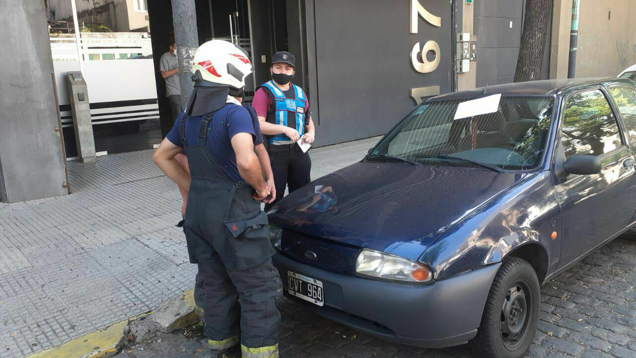 El gatito fue rescatado por   <a href='https://www.cronica.com.ar/tags/Bomberos'>Bomberos</a> de la Ciudad en   <a href='https://www.cronica.com.ar/tags/Chacarita'>Chacarita</a>.>