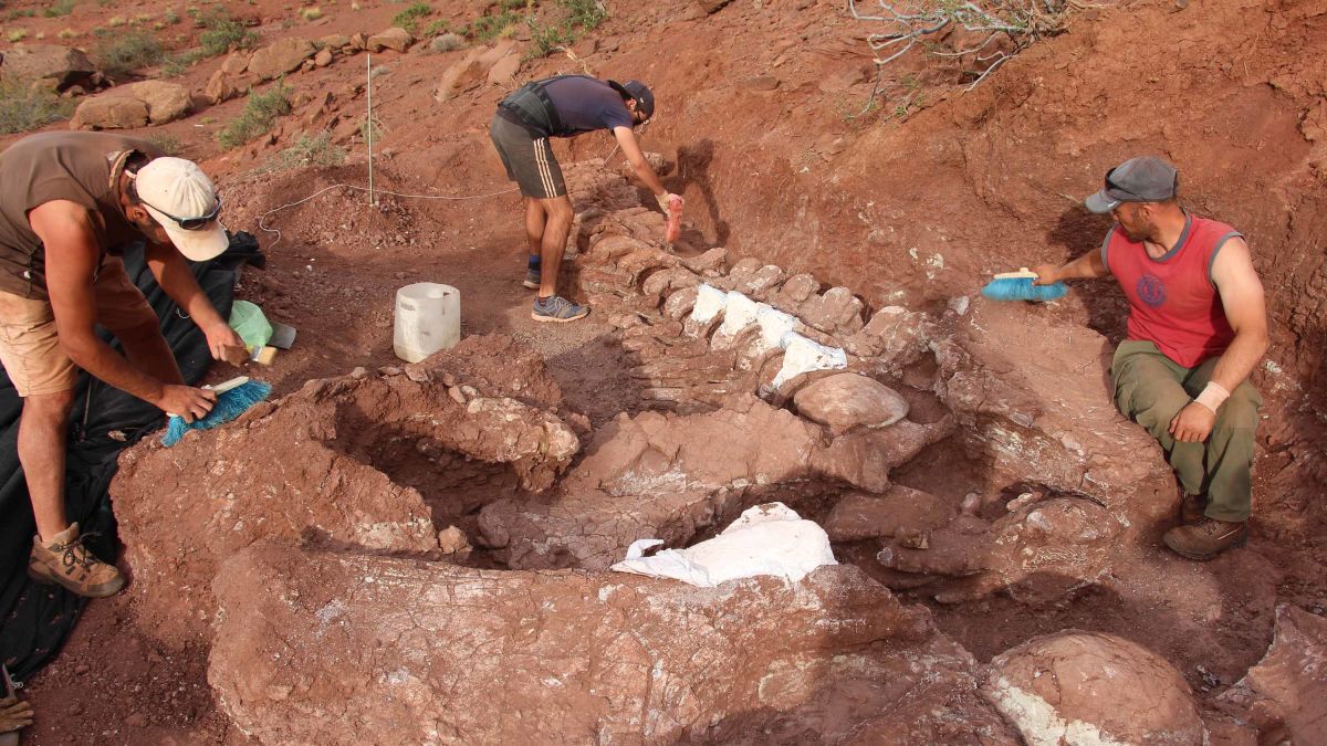 El dinosaurio hallado en la provincia de Neuquén se estima que tiene unos 140 millones de años de antigüedad.