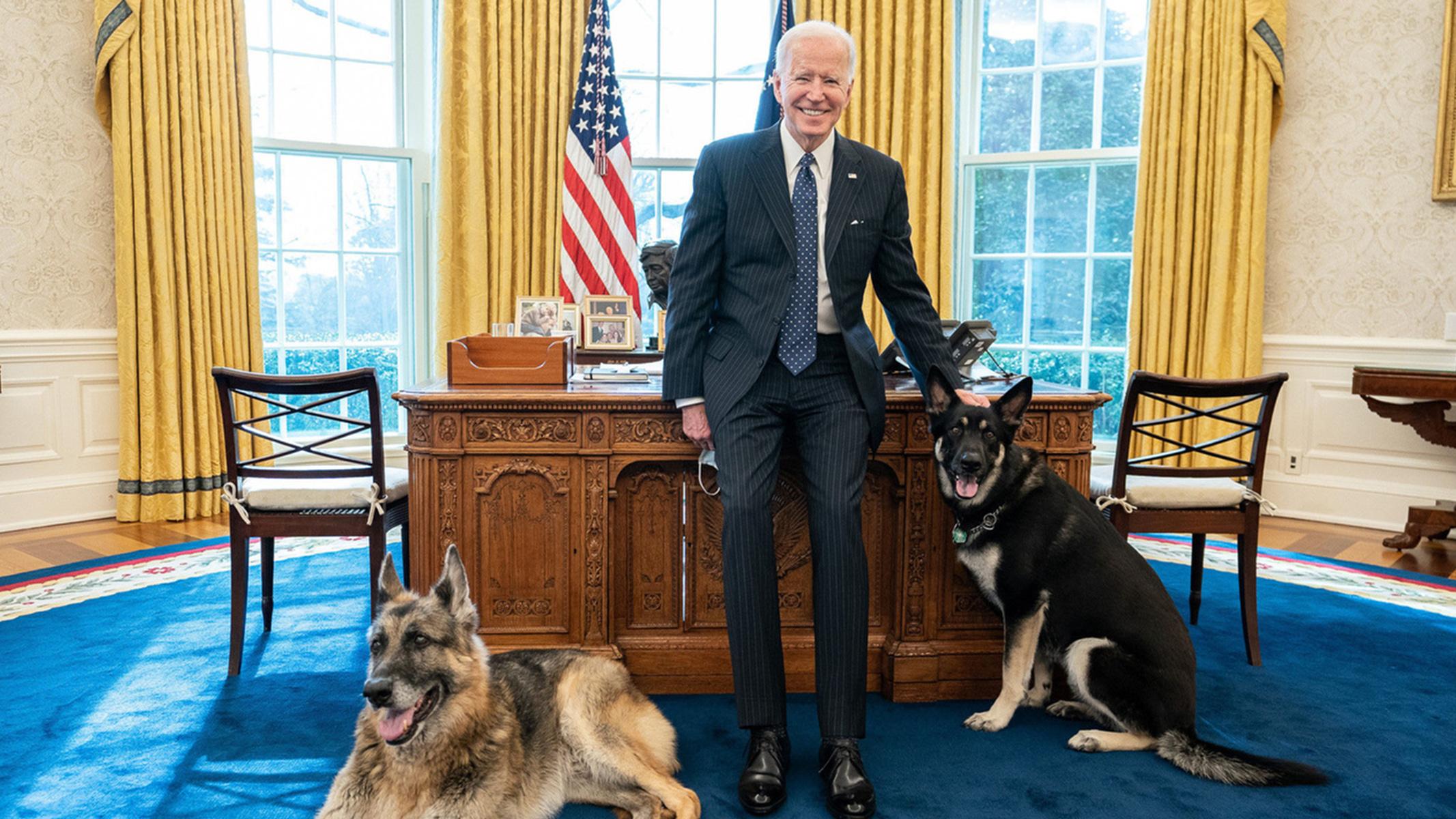 Perro del presidente yanqui se 