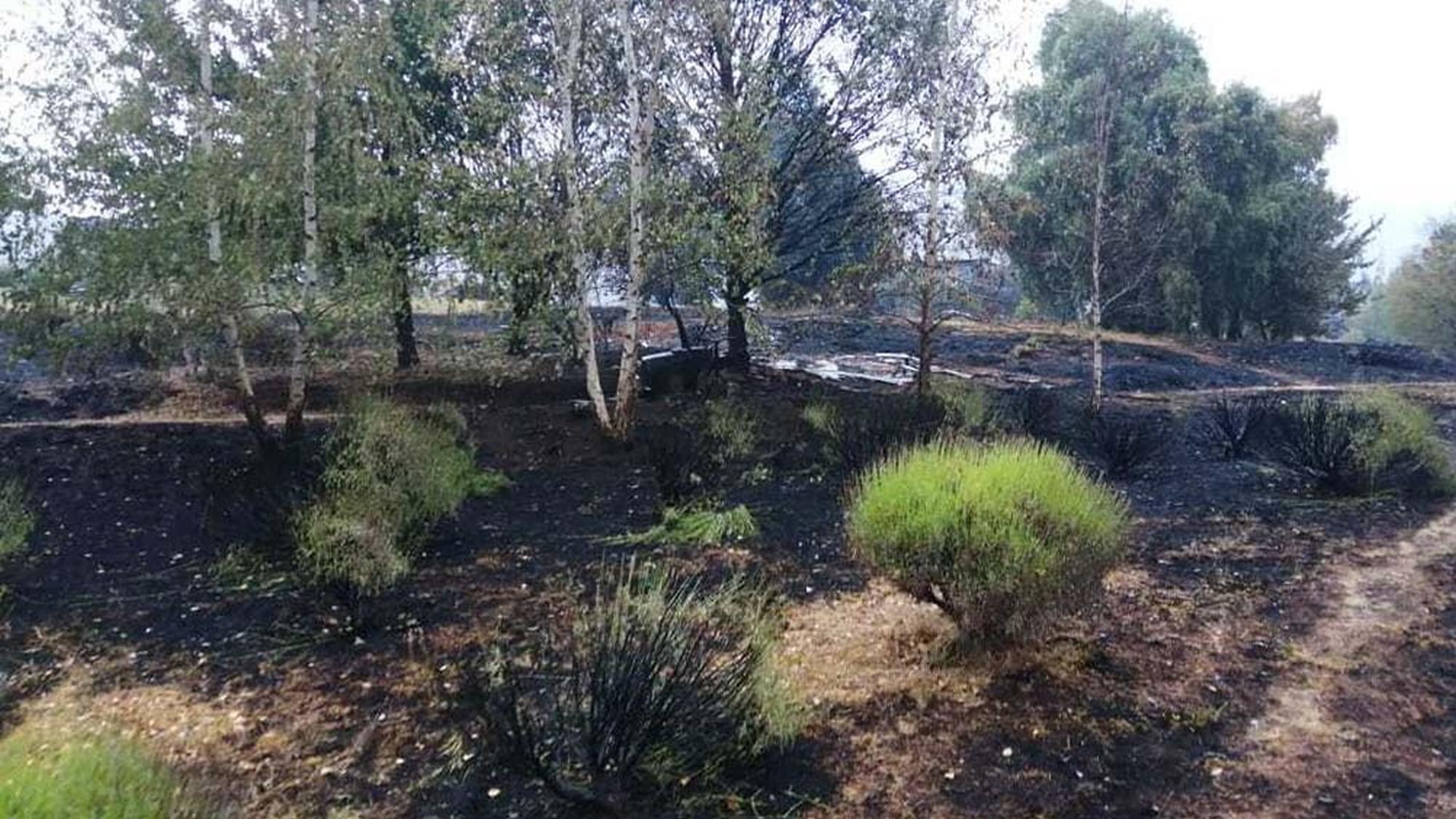 El agua caída ayudó momentáneamente a combatir el fuego en distintas regiones del sur del país (Télam).