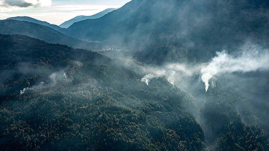 Desde el 1 de enero y al 20 de febrero la superficie estimada afectada por los incendios es de 61.760 hectáreas. (Gentileza: Greenpeace)