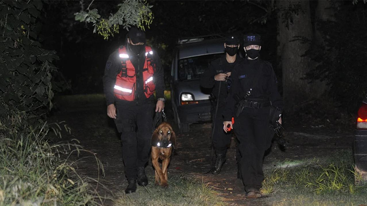 Uno de los perros que participó del operativo de búsqueda de la nena de 7 años secuestrada.