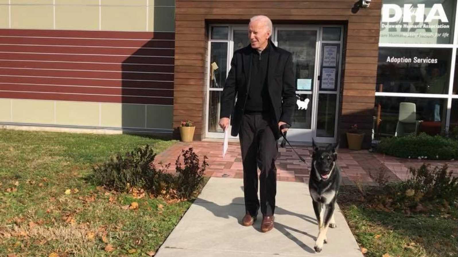 Major, el perro más joven del presidente estadounidense Joe Biden, volvió a morder a una persona en la Casa Blanca.