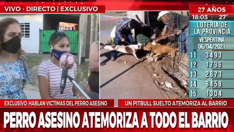 Un pitbull atemoriza y ataca a los vecinos de Villa Elvira. (Captura video)