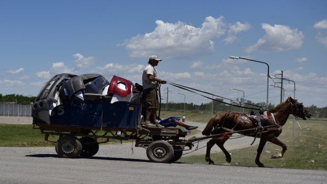 Balean a cartonero para robarle el carro y el caballo. (Imagen de archivo)