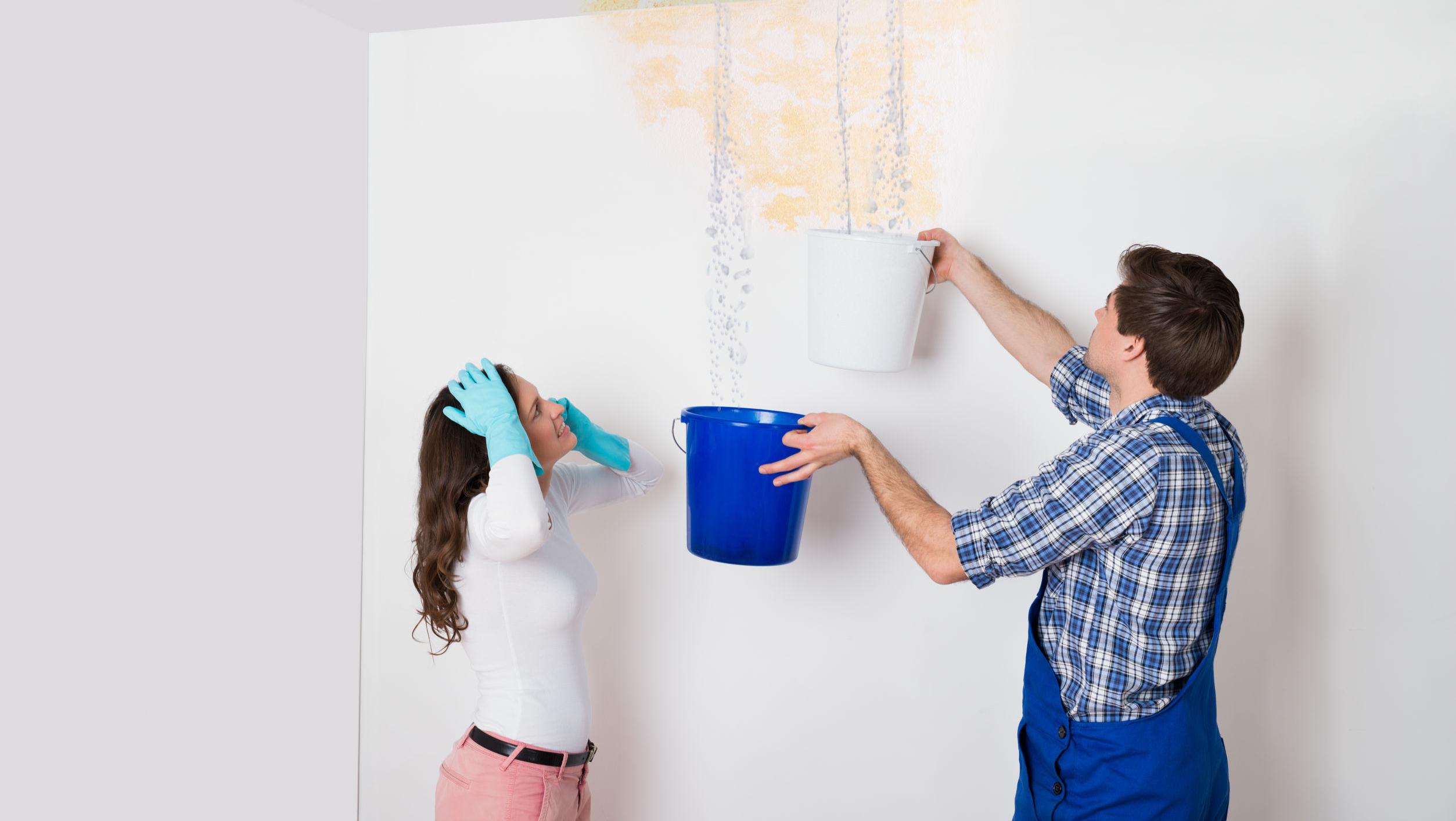 Hay varias medidas preventivas para evitar la formación de manchas y moho en casa.