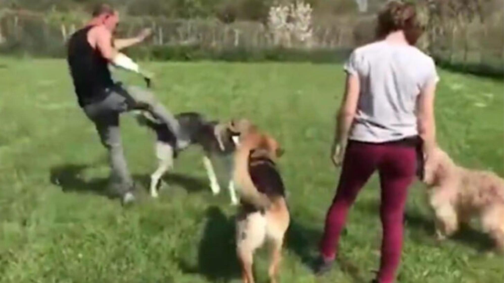 El momento en que el profesor le pega al perro (captura de video)