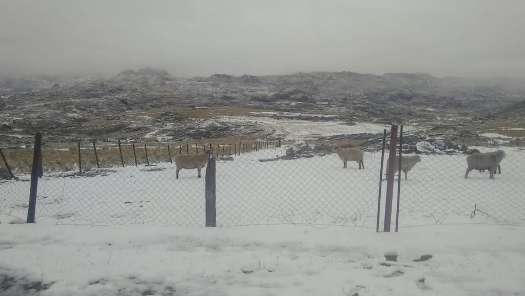 El Cerro Champaquí se tiñó de blanco durante este martes en Córdoba (La Voz)