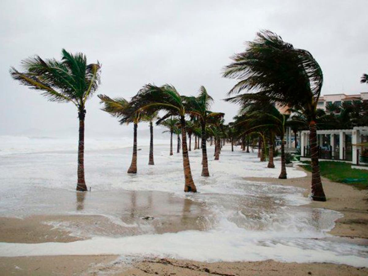 La tormenta se formó en tiempo récord y habrá fuertes precipitaciones en gran parte de México.