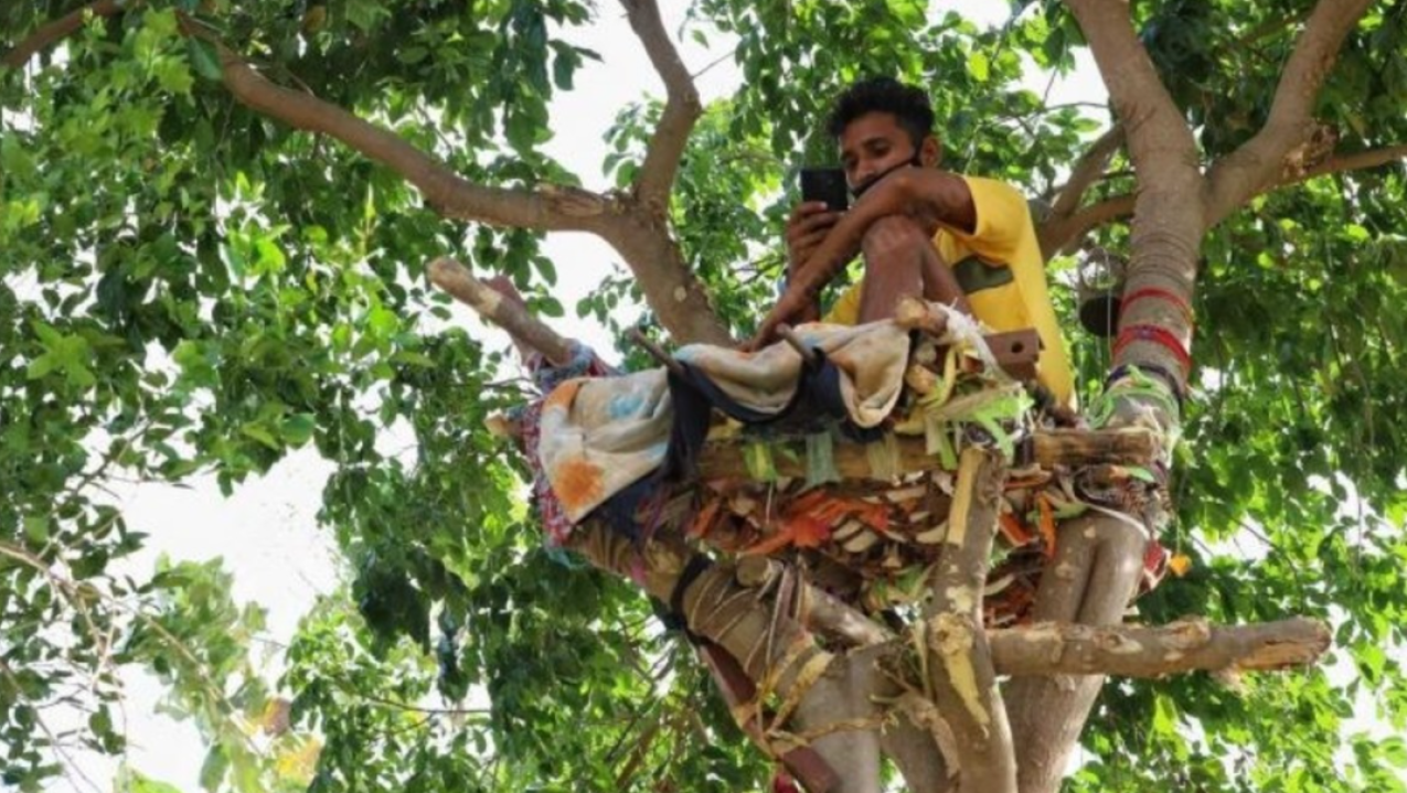 Shiva construyó una plataforma a base de palos de bambú en la copa de un árbol para aislarse por el coronavirus.