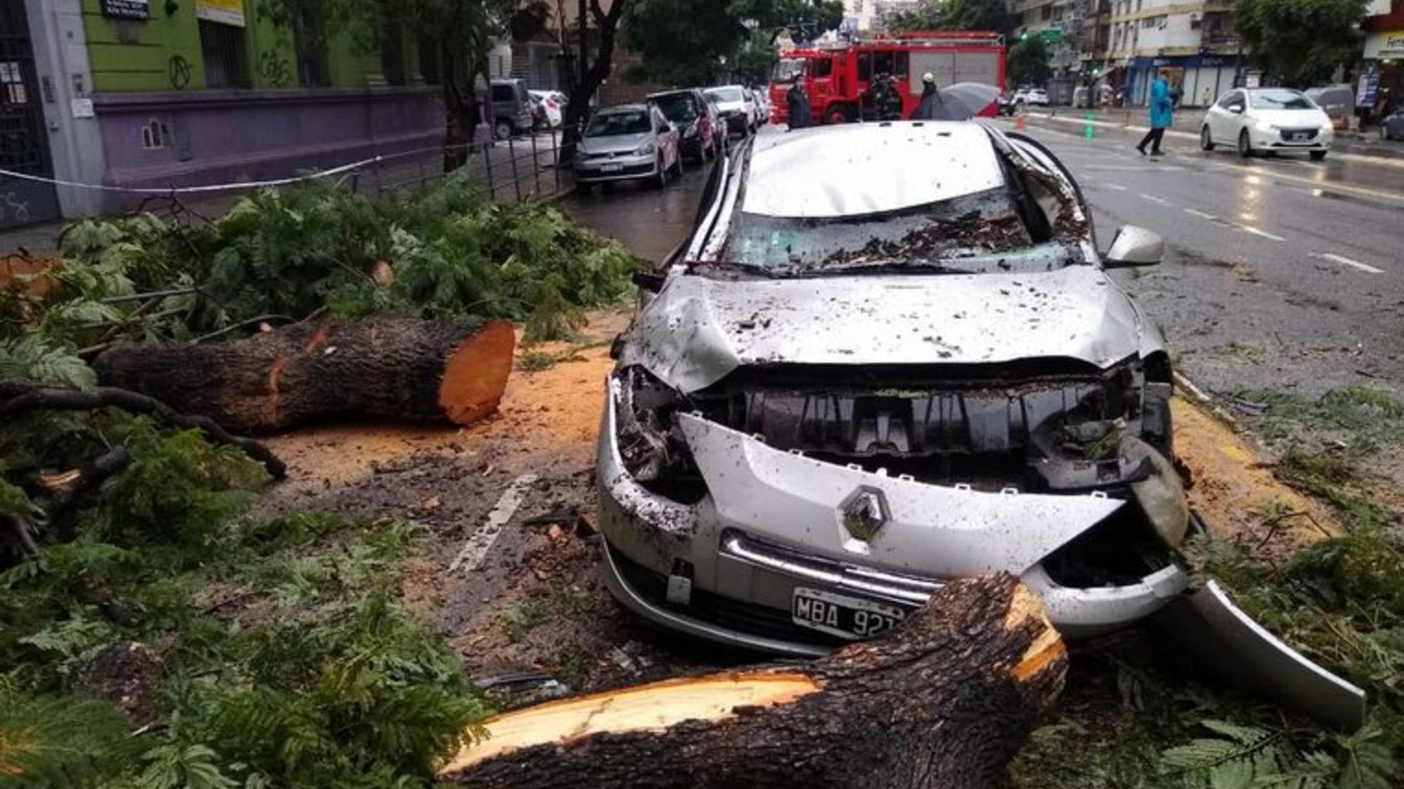 Dos personas resultaron heridas tras la caída de este árbol en Palermo (Twitter).