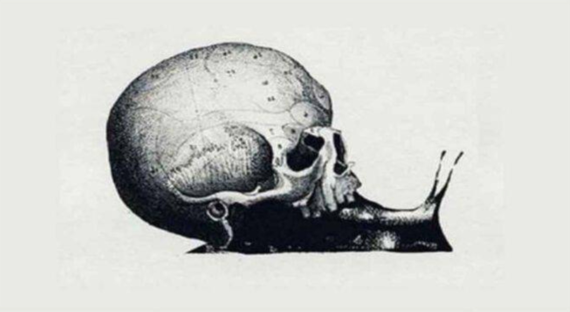 Según lo primero que veas, aprendé sobre los lados ocultos de tu mente.