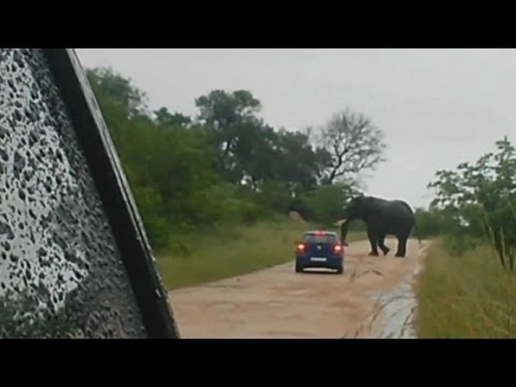 El elefante arrastró el vehículo varios metros por la tierra.