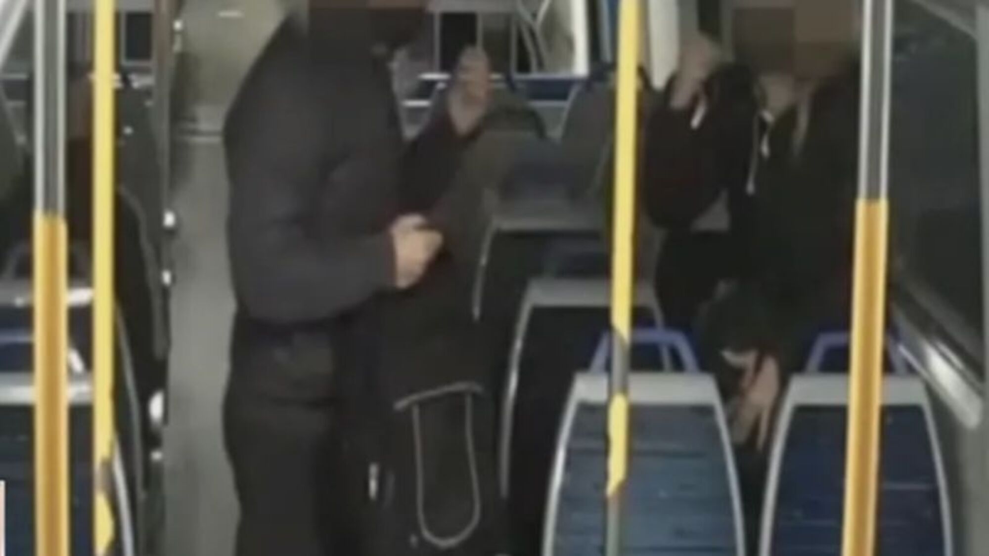 El momento en el que la mujer es atacada en el tren Sarmiento.