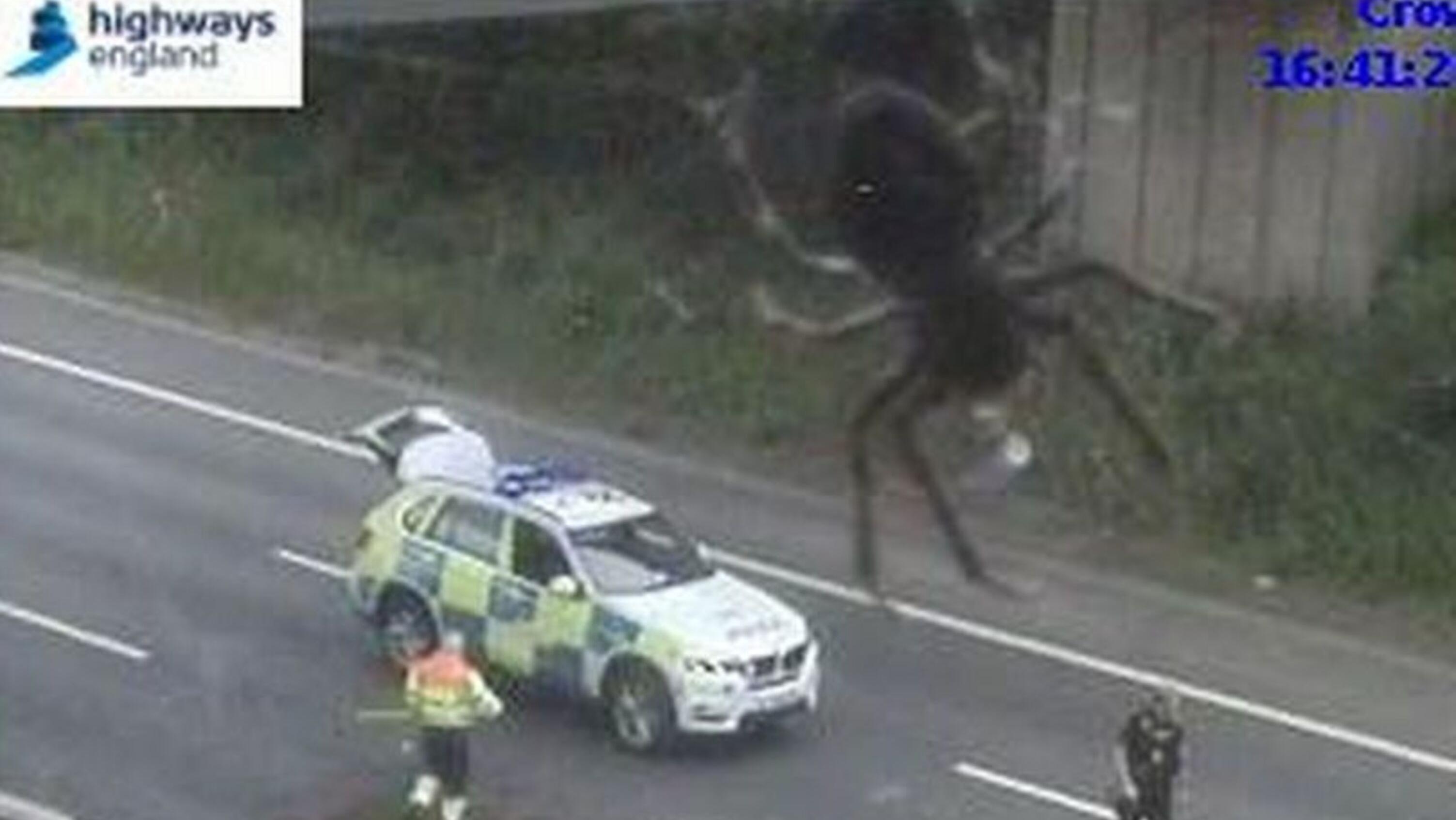 Así la araña tapaba la visión del accidente de tránsito. (Captura video)