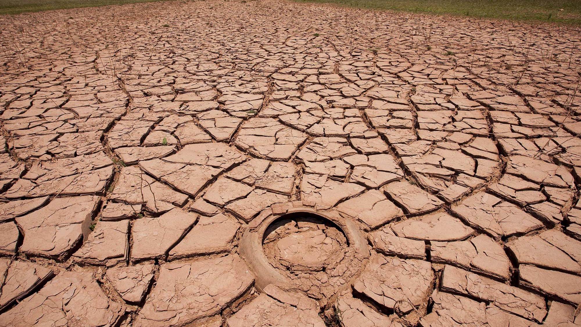 ¿La humanidad puede provocar otra pandemia?