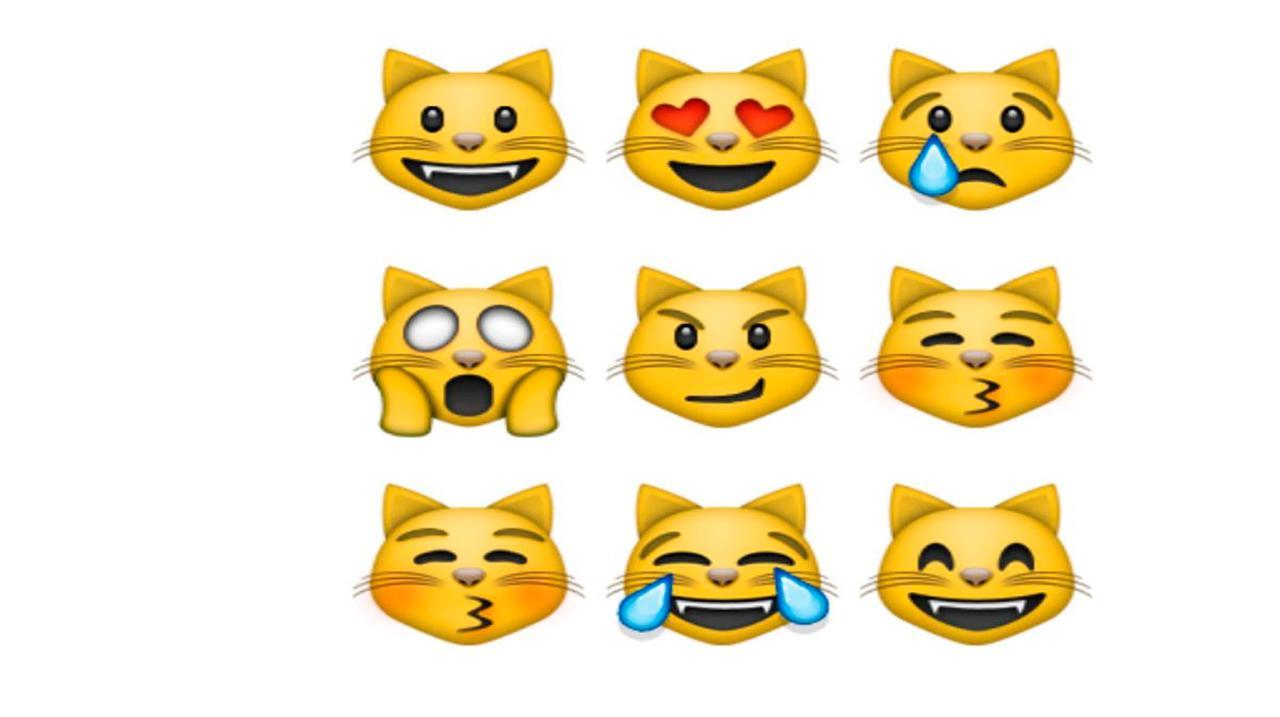 Los gatitos de WhatsApp realizan diferentes acciones y son muy utilizados por los usuarios.