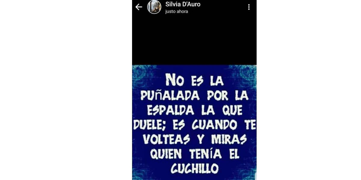 El misterioso mensaje de Silvia D´Auro en su estado de WhatsApp.