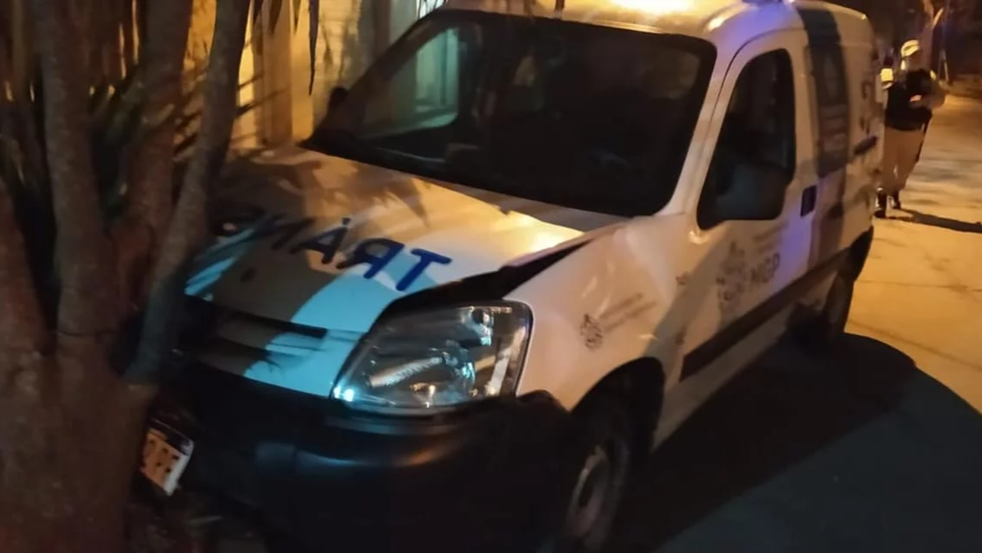 La camioneta de Tránsito robada se estrelló contra un árbol.