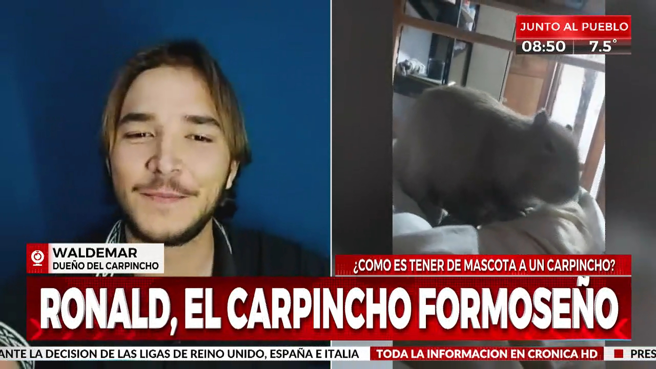 Crónica HD