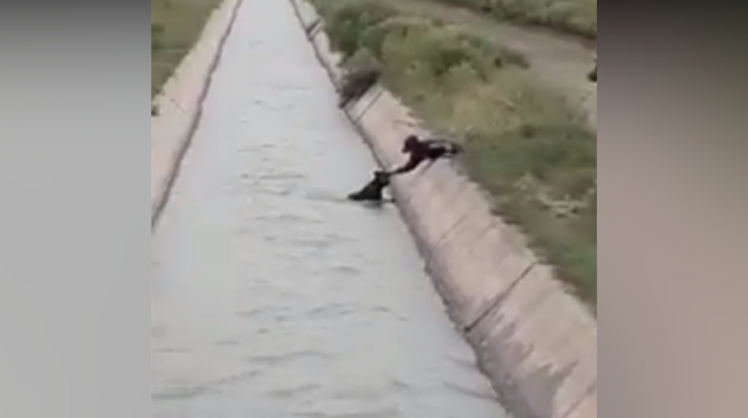 El hecho ocurrió en Mendoza (Captura de pantalla).