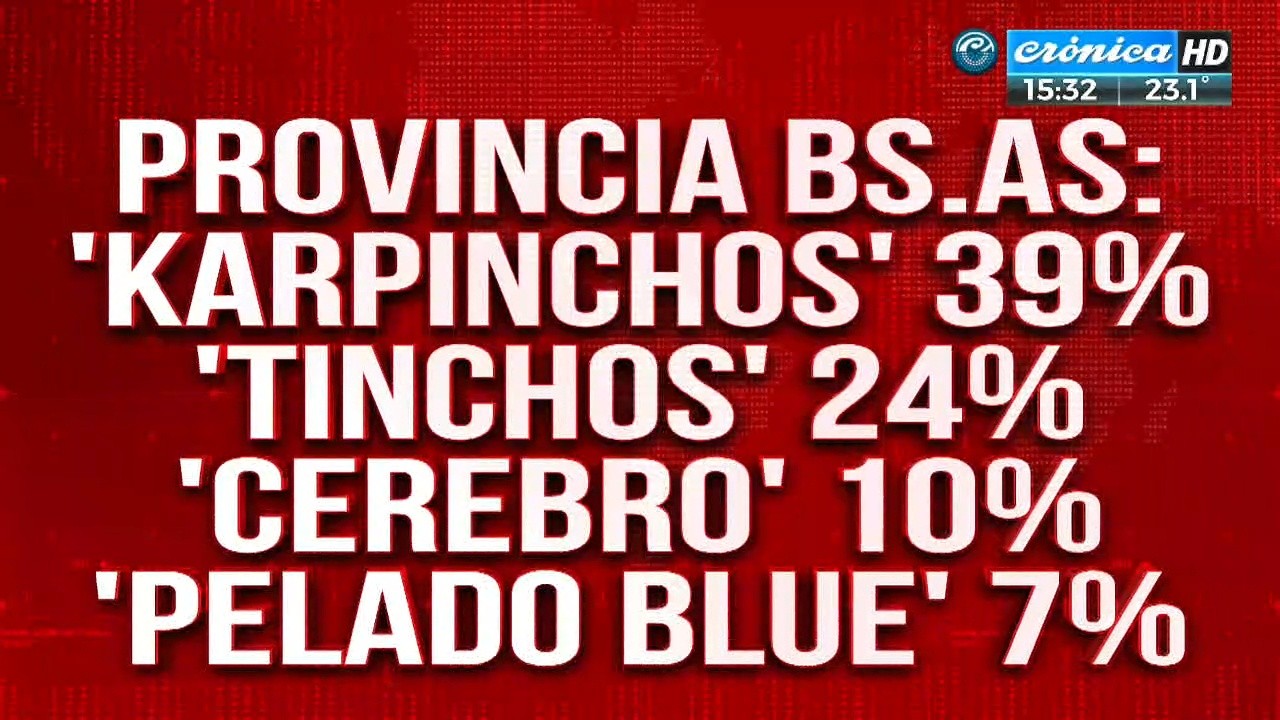 PASO 2021: Los primeros datos de boca de urna. 