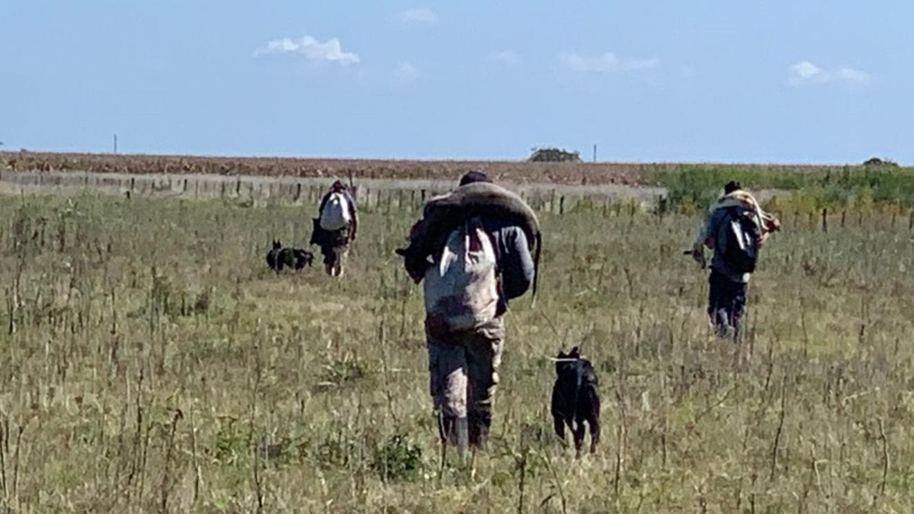 Vecinos de Chascomús están preocupados por las cacerías y carreras de galgos.