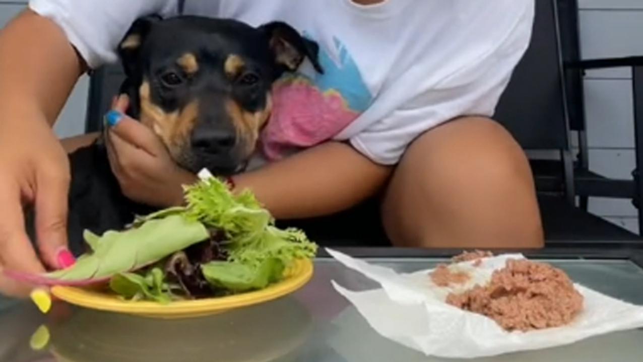 La joven compartió un video con su perrita y se volvió viral en TikTok.