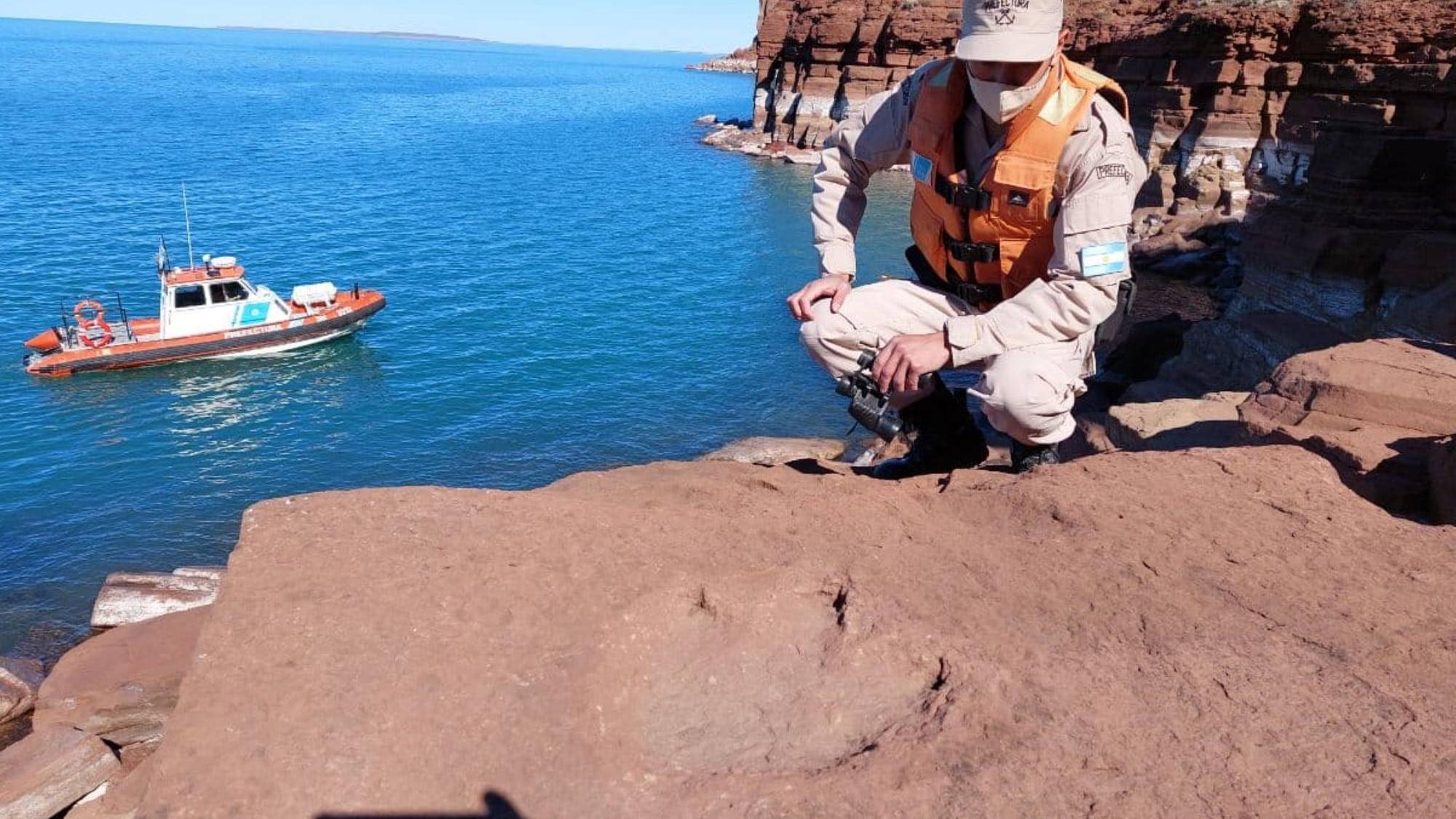 Huellas de dinosaurio en la Patagonia: así fue el hallazgo.