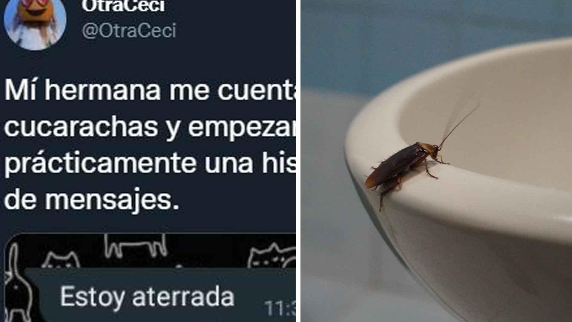 El tuit viral llegó a los 23 mil 