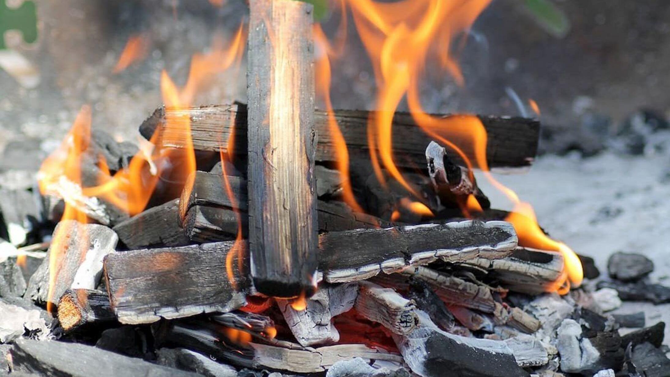 Con esta guía vas a saber cómo hacer un asado con leña. 