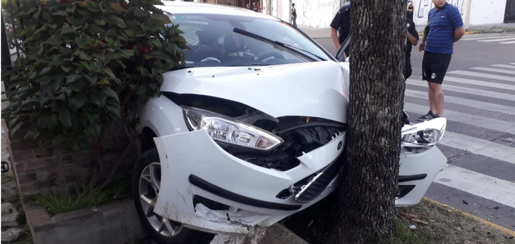 El automóvil robado se incrustó contra un árbol.