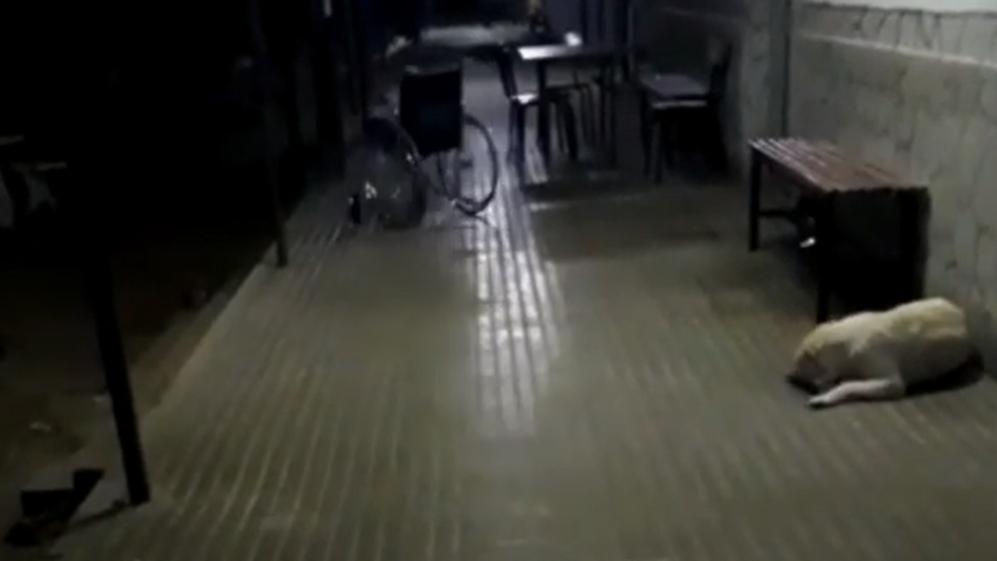 El momento paranormal fue captado por un empleado de la clínica. 