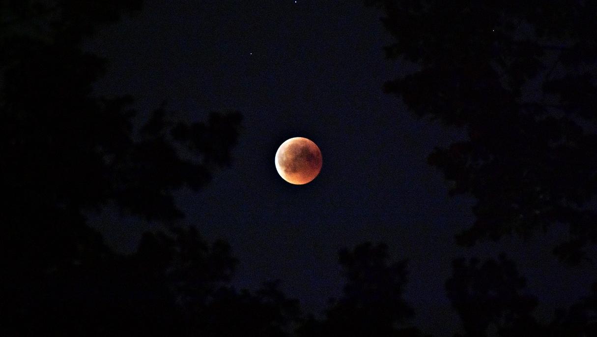 Luna llena en Tauro: cómo aprovechar las energías para purificar el alma