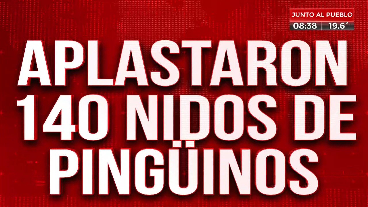 Tremendo: aplastaron 140 nidos de pingüinos en Chubut.