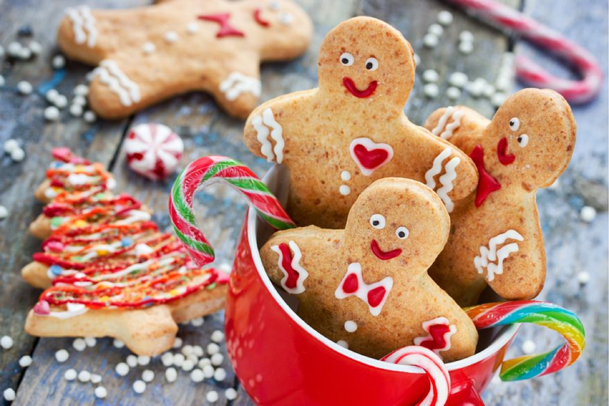 Las cookies navideñas más ricas y divertidas para toda la familia. 