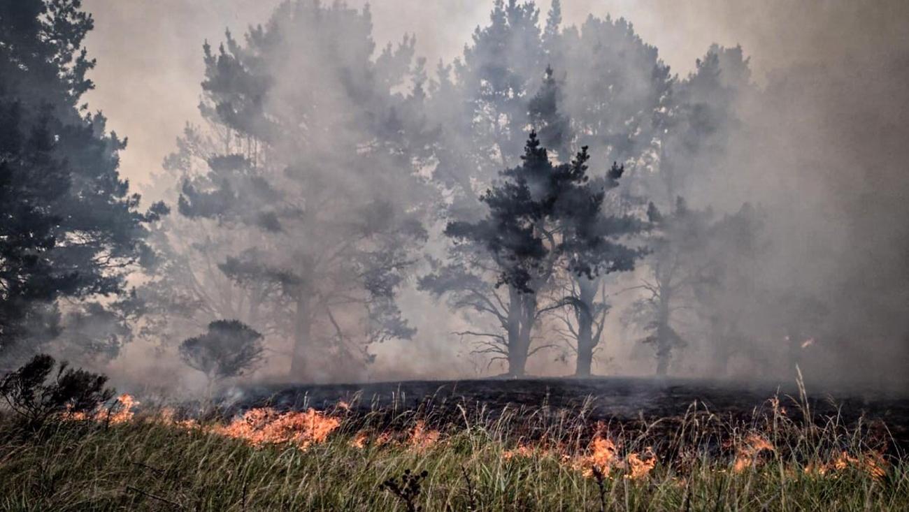 Más de 100 hectáreas fueron consumidas por el fuego (Twitter).