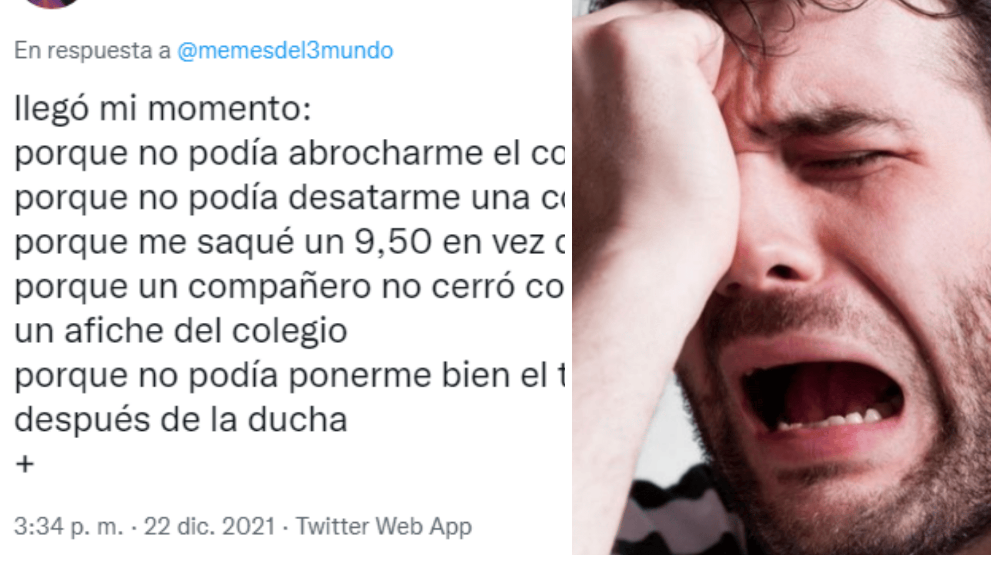 Desde un delivery equivocado hasta una hormiga demasiado buena para este mundo, los llantos más inauditos de Twitter.