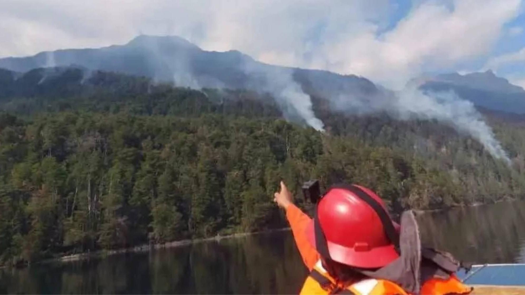 Incendios forestales: manejo del fuego y reporte.