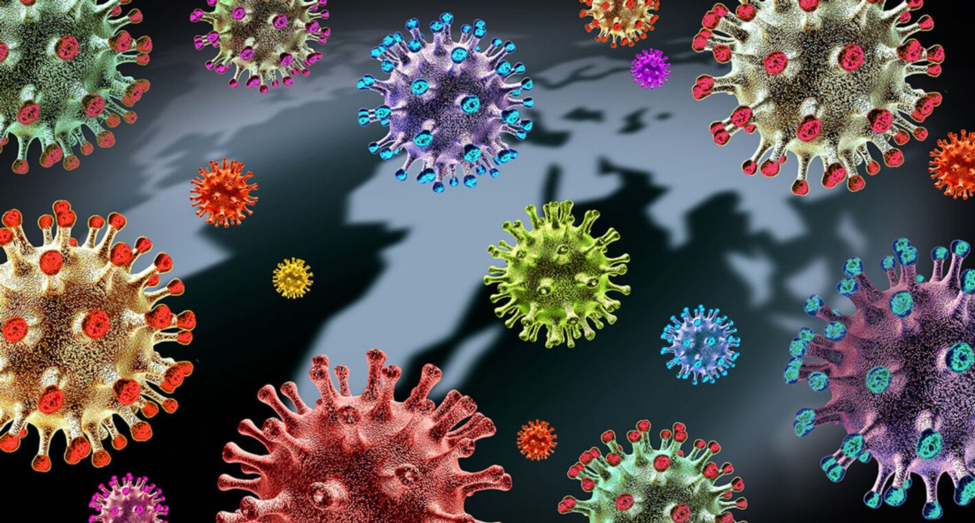 Así se ve el virus del coronavirus.