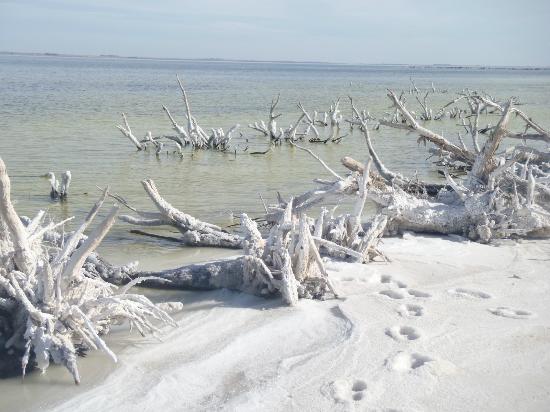 Lago Epecuén