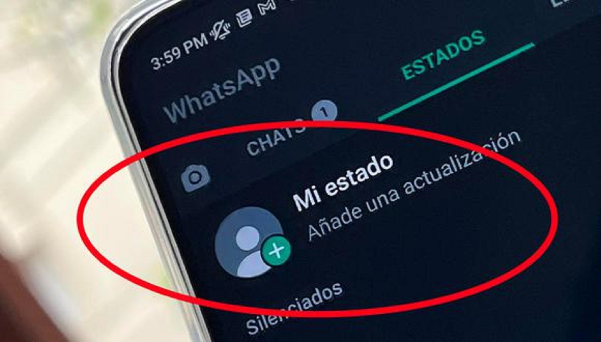 WhatsApp: el sencillo truco para descargar los estados de tus contactos sin usar aplicaciones.