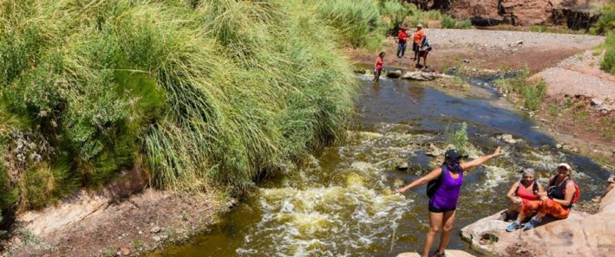 Los lugares recomendados que tenes que visitar. 