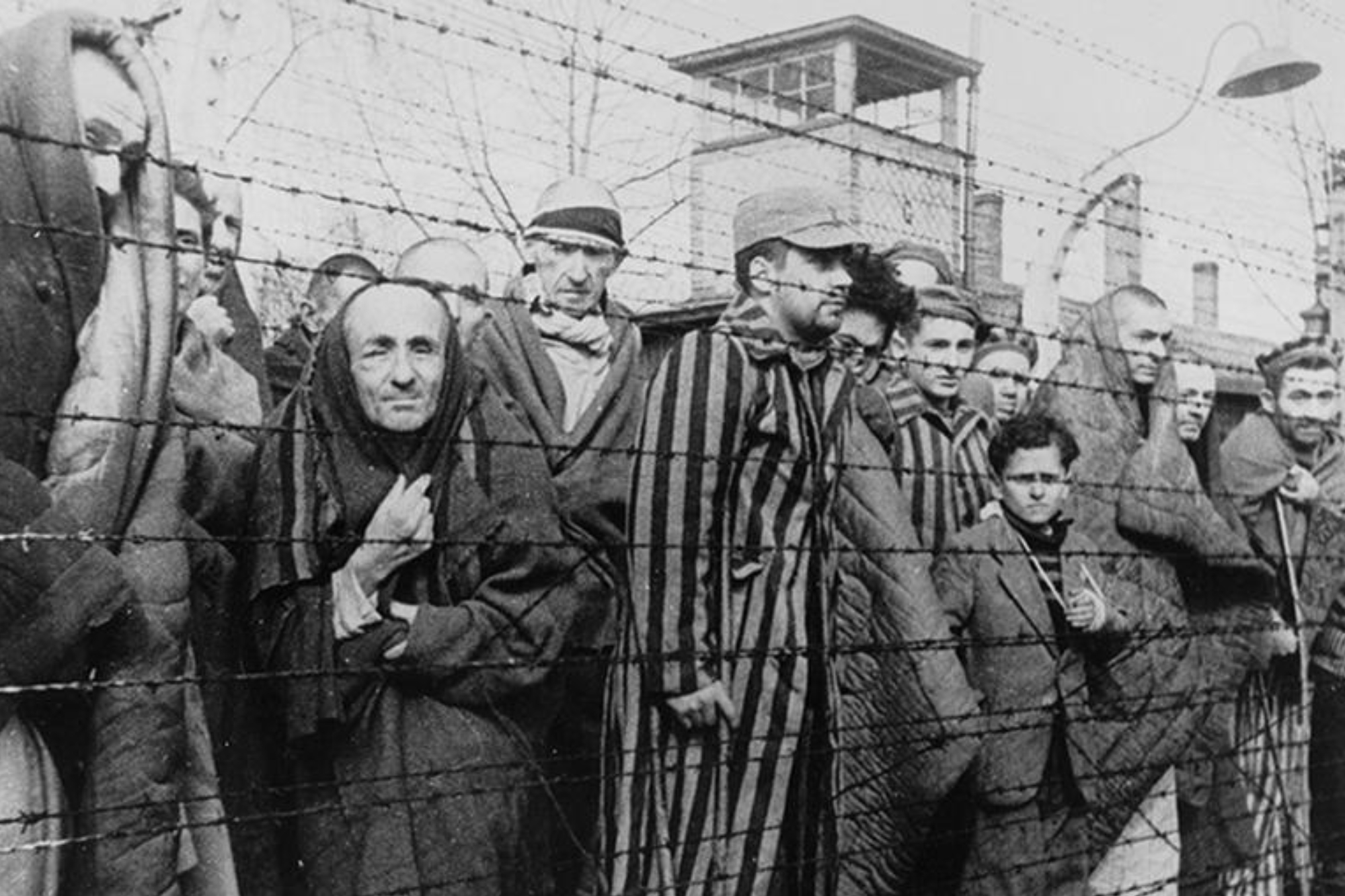 Cada 27 de enero se conmemora el Día Internacional de las Víctimas del Holocausto.