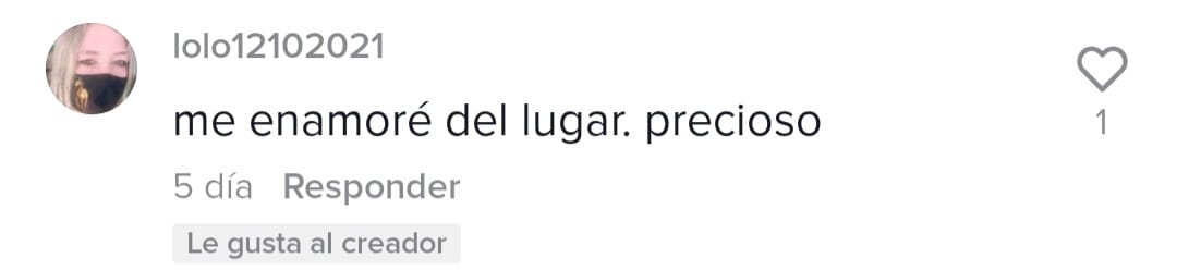 Comentario de una seguidora en Tik Tok