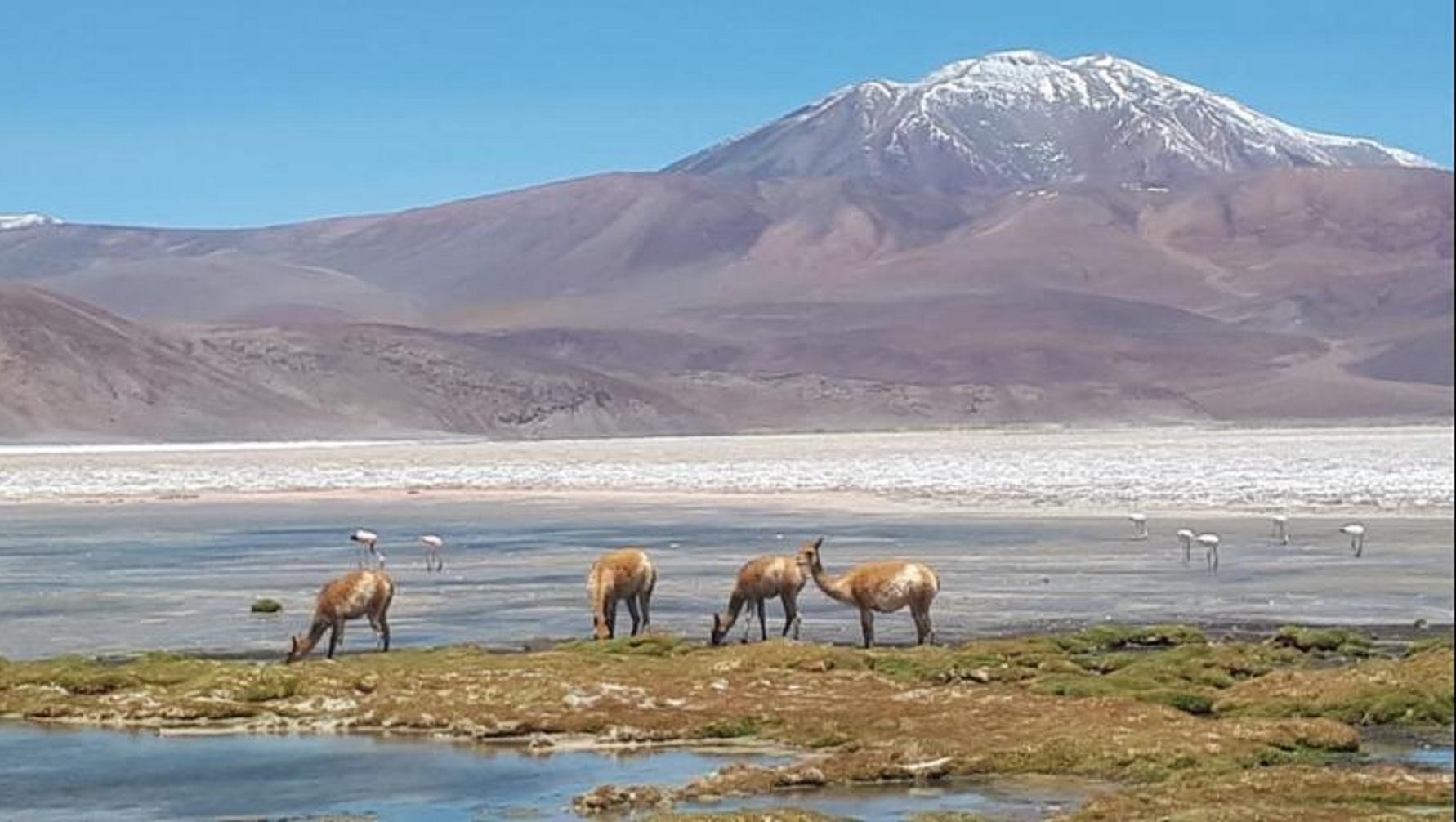 El programa Previaje fomentó el turismo interno en la Argentina. Catamarca ofrece paisajes desconocidos que maravillan. 